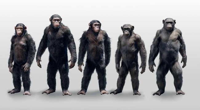 Planet of the Apes