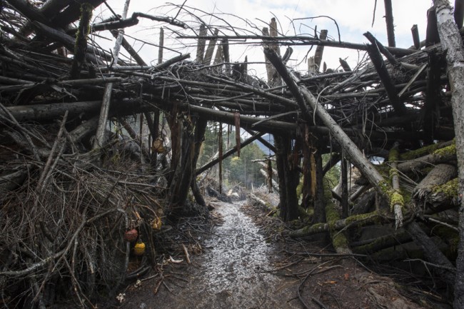 dawn of the planet of the apes