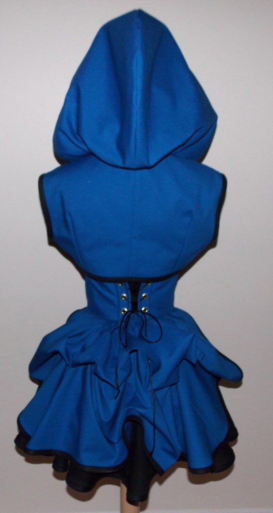 Star Trek Victorian Style Hoodie