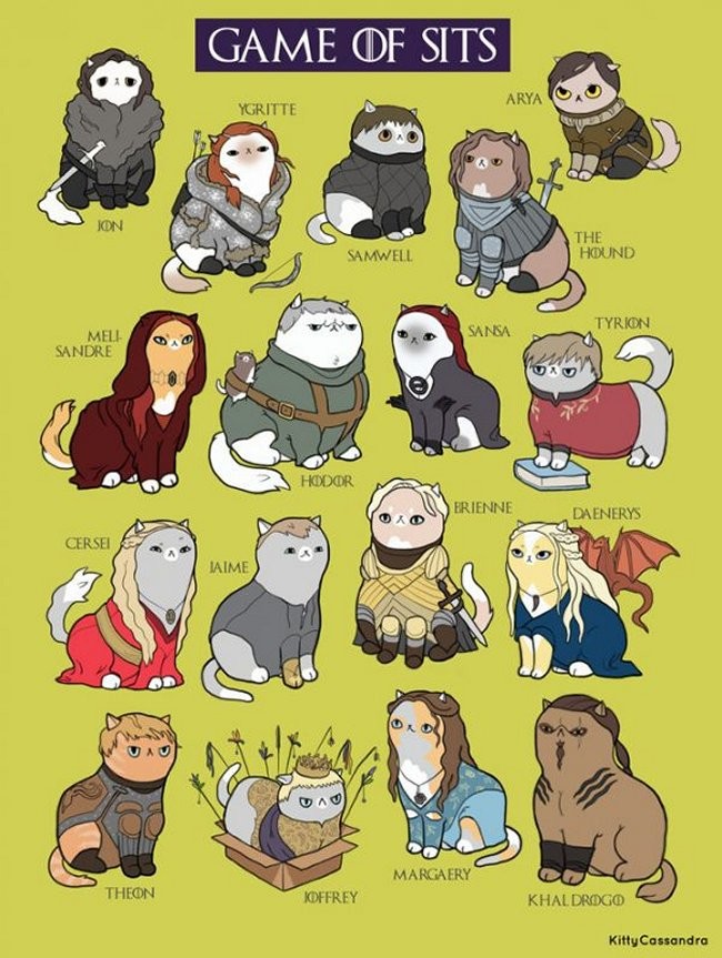Your Favorite Geek Characters As Cats 