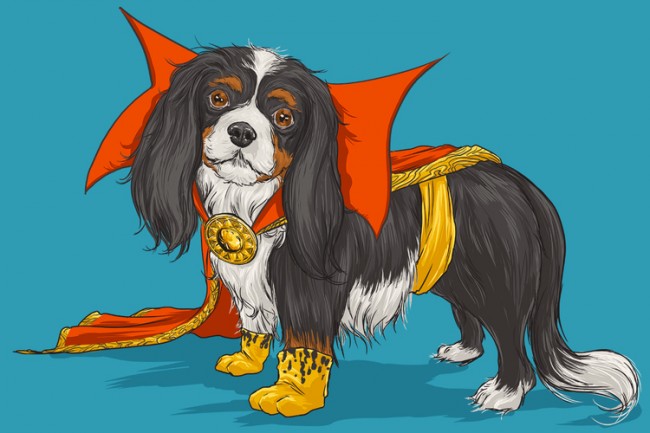 Marvel Superheroes As Dogs