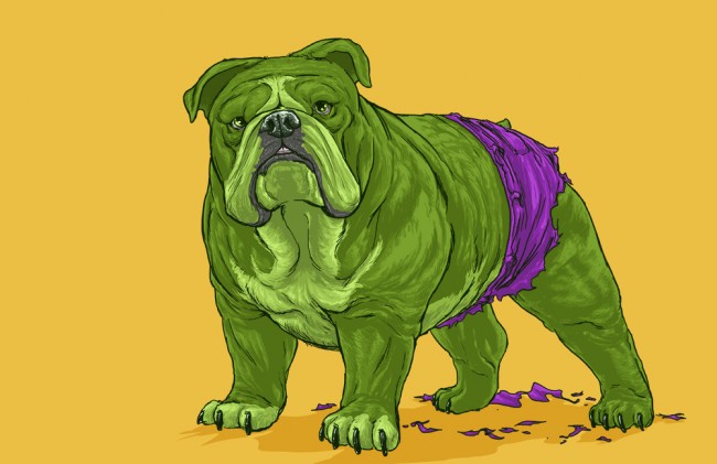 Marvel Superheroes As Dogs