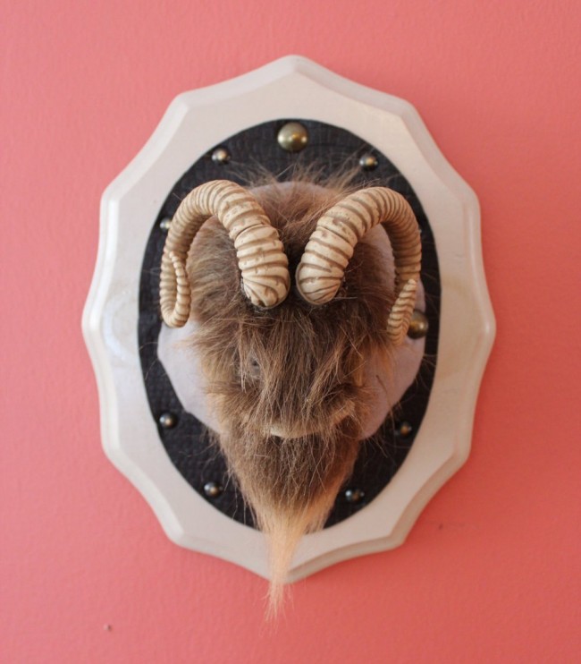 Star Wars Mounted Trophies