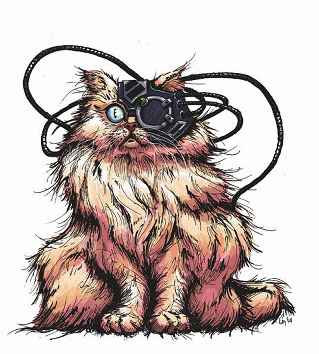 Borg Cats Resistance Is Mew Tile