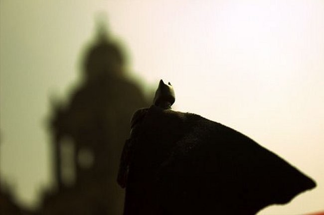 Batman In Mexico