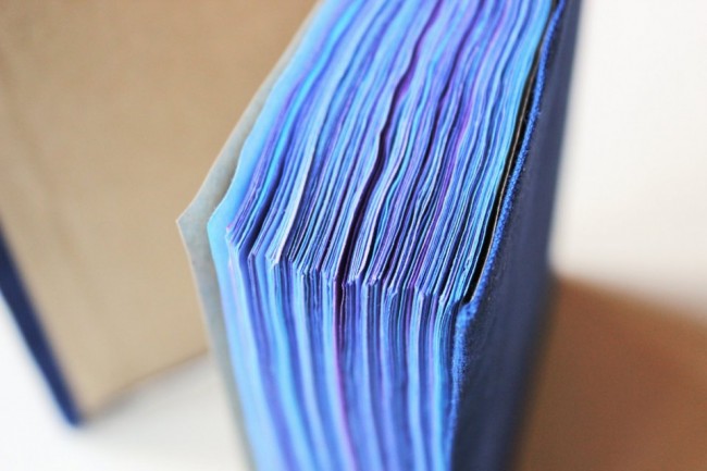 River Song's TARDIS Journal