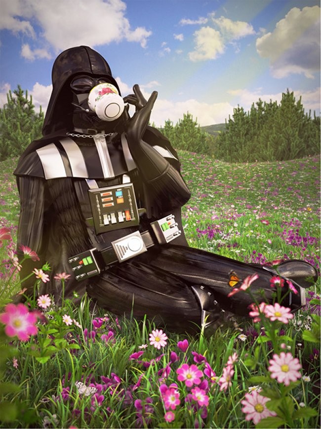 Star Wars Characters on Vacation Prints