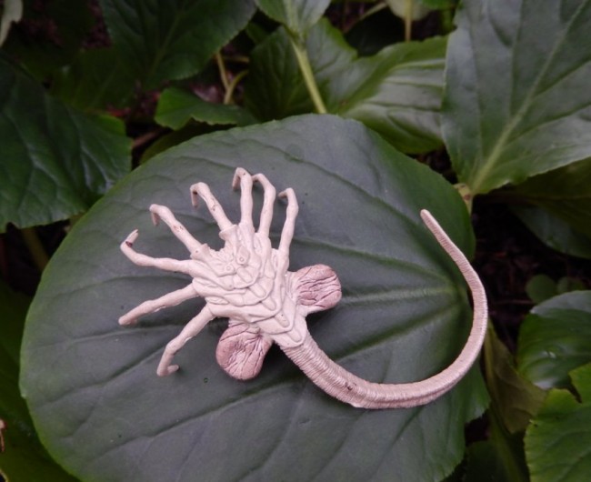 Alien Facehugger Hairclip