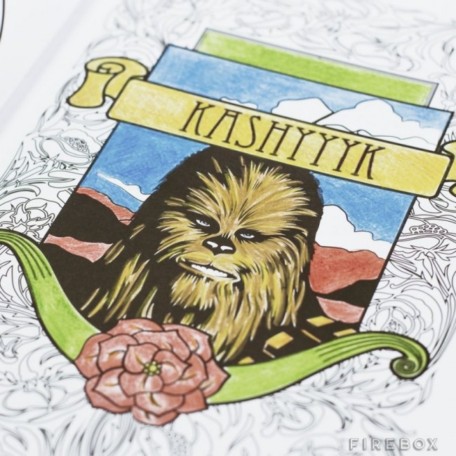 Star Wars Anti-Stress Coloring Book