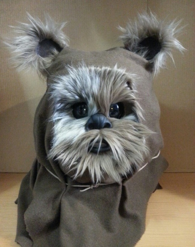 Amazingly Realistic Ewok Masks