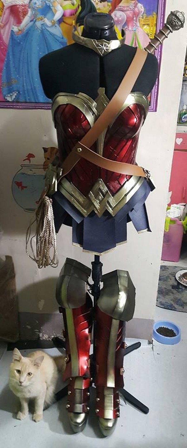 Batman v Superman Wonder Woman Cosplay