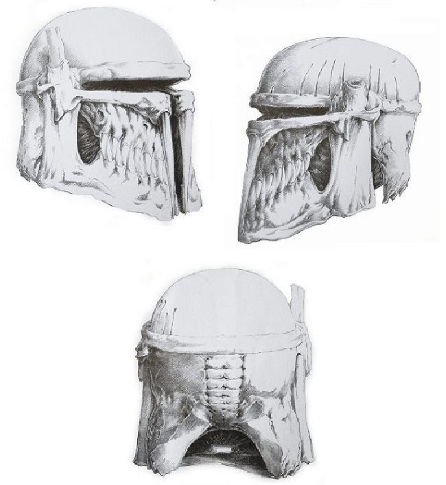 The Bobaskull Project